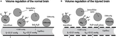 Critical Evaluation of the Lund Concept for Treatment of Severe Traumatic Head Injury, 25 Years after Its Introduction